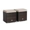 2 Pieces Patio Storage Ottoman with Removable and Washable Cushions
